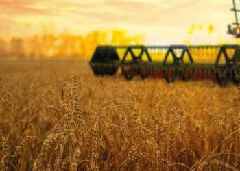 Жнива-2020: в Україні вже зібрано майже 27 млн тонн зерна