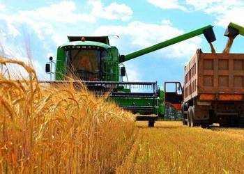 Жнива-2020: В Україні вже зібрано майже 33 млн тонн зерна