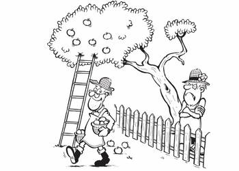 Заважають гілки та коріння дерев або кущів  з сусідньої ділянки?