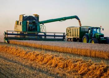 Валовий збір зерна на Харківщині перевищив 700 тисяч тонн