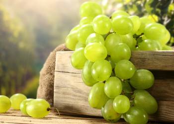 UKRAVIT виводить на ринок інноваційний фунгіцид для захисту винограду