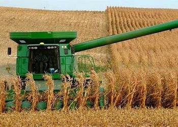 На Запоріжжі зібрали рекордний врожай ранніх зернових