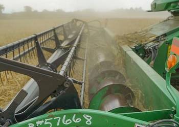 На Кіровоградщині зібрали понад 2,5 млн т зерна