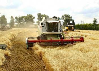 Аграрії намолотили рекордну за всю історію України кількість ранніх зернових — 44,8 млн т