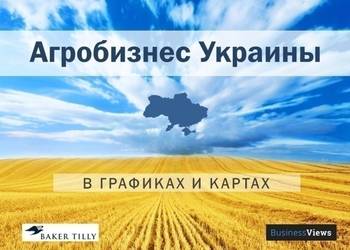 Агробізнес України 2015. Інфографіка.