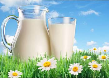 Структурні особливості формування цін на молоко в продовольчому ланцюгу