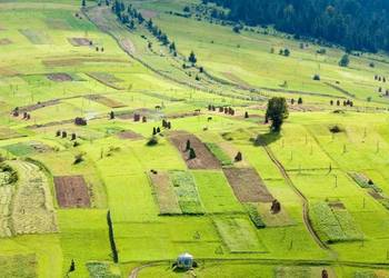 Міністерство аграрної політики та продовольства визначилось з Концепцією національної моделі обігу земель сільськогосподарського призначення