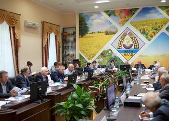 Відбулось засідання Бюро Президії НААН