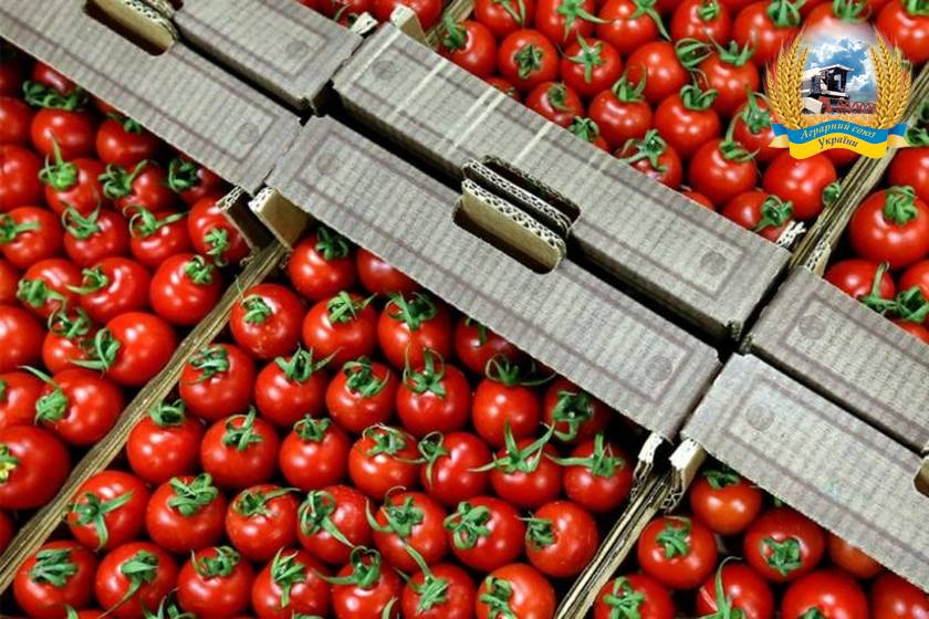 Влада прислухалася до позиції ГС «АСУ» та готова почати роботу щодо збільшення квот на експорт оброблених томатів